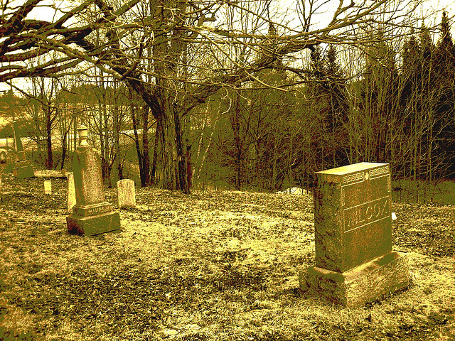 Newport center vault cemetery - Vermont USA .  28 mars 2010 - Sepia postérisé
