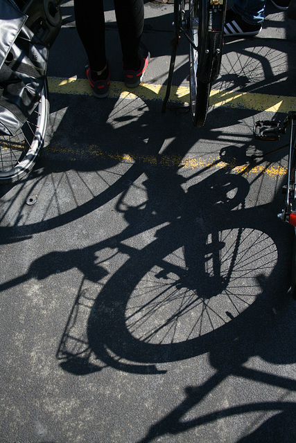 shadow bicycle