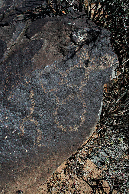 Three Rivers Petroglyphs (5830)