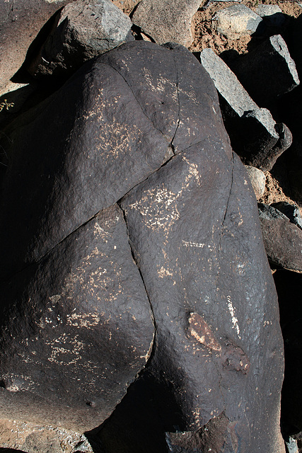 Three Rivers Petroglyphs (5831)