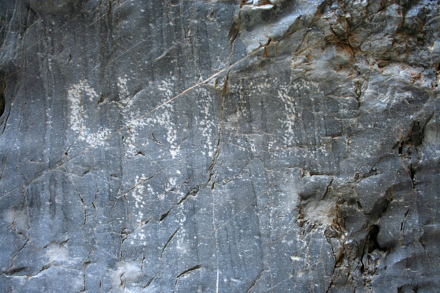 Graffiti in Marble Canyon (4635)