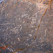 Petroglyphs in Marble Canyon (4673)