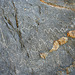Petroglyphs in Marble Canyon (4690)