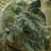 20090611 3254DSCw [D~H] Zweifinger-Faultier, Zoo Hannover