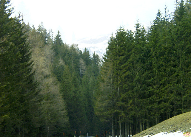 2005-03-22 87 Rennweg, Kärnten