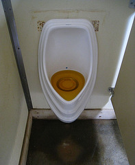 Clogged Waterless Urinal (5476)