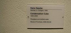 110.HirshhornMuseum.SW.WDC.24January2010