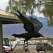 Raven (5068)
