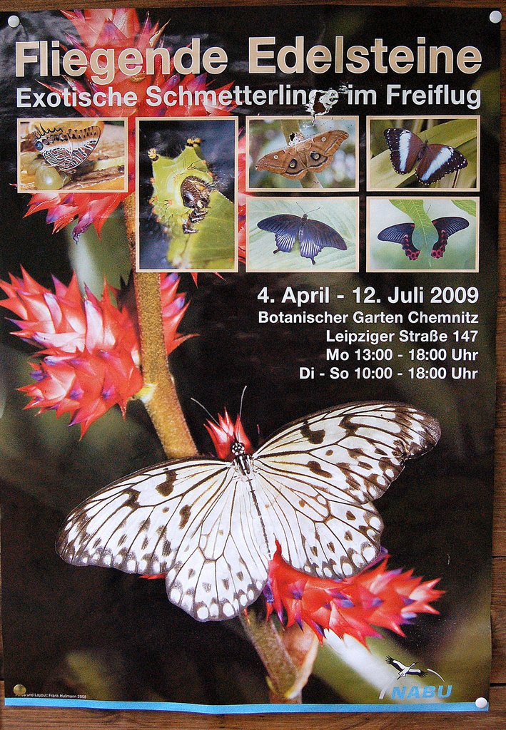 Papilioj - la flugantaj briliantoj / Schmetterlinge - die fliegenden Edelsteine