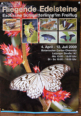 Papilioj - la flugantaj briliantoj / Schmetterlinge - die fliegenden Edelsteine
