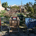 4th Street Demolition - Audience of Carts (4045)