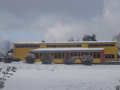 Montessori-Schule