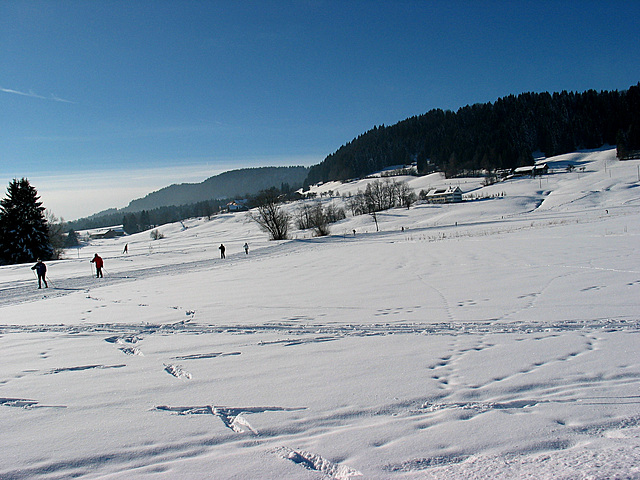 Winterspaziergang in Scheidegg/Allgäu