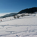 Winterspaziergang in Scheidegg/Allgäu