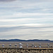 Very Large Array (5557)