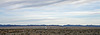 Very Large Array (5558)