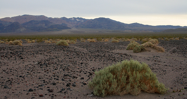 Death Valley (5051)