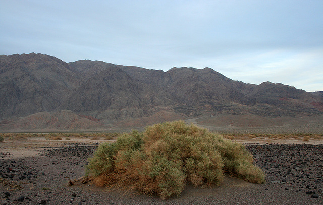 Death Valley (5060)