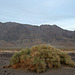 Death Valley (5060)