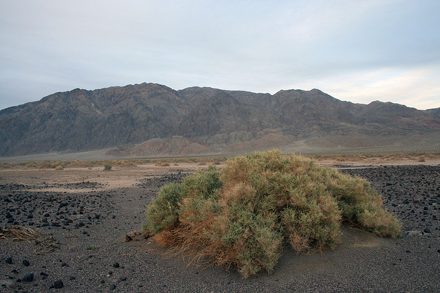 Death Valley (5061)
