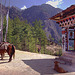 Chorten and horse place to the Tiger's Nest view point