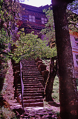 The last steps to the Taktshang monastery