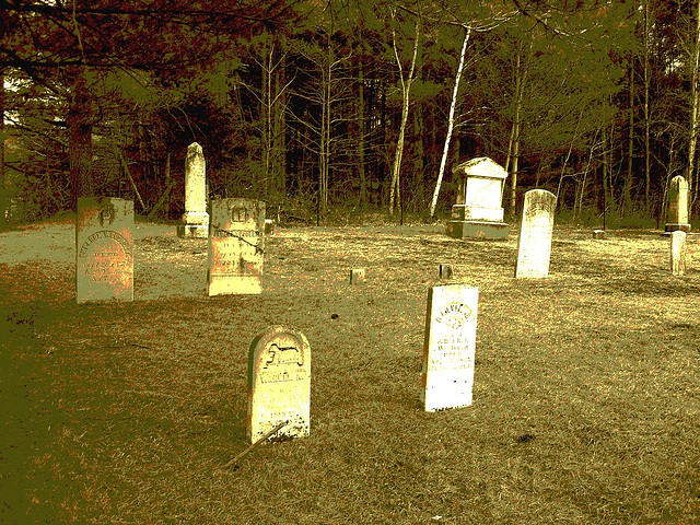 Union cemetery  / South Bolton. Québec, CANADA.  28 mars 2010 -  Sepia postérisé