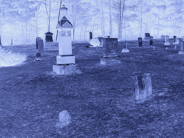 Union cemetery  / South Bolton. Québec, CANADA.  28 mars 2010 - Sepia en négatif