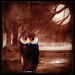 my beautiful night owl