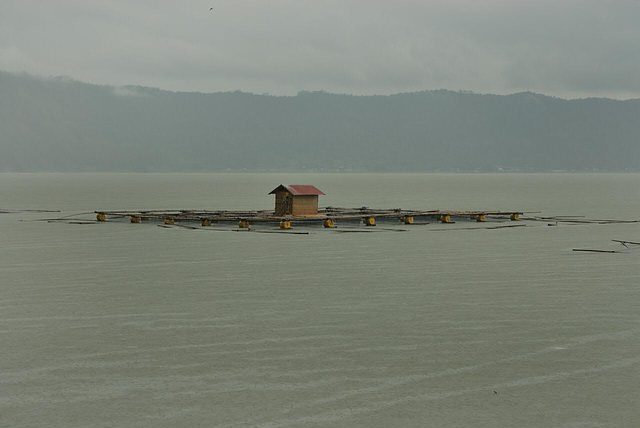 Fishing hut in the Batur lake