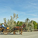 Smoke Tree Ranch Transportation (8813)