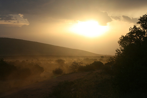 Sunset Over An African Savannah