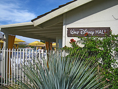 Walt Disney Hall (5257)