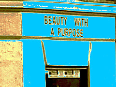 Beauty with a purpose /  Beauté avec un but - Copenhague / Copenhagen.  20-10-2008- Bleu photofiltré + postérisation
