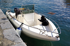 boato kun nigra hundo - Boot mit schwarzem Hund
