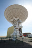 Very Large Array (5769)