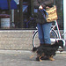 Handlesbanken booted swedish Lady with her dog /  La Dame bottée Handlesbanken avec son petit chien mignon -  Ängelholm / Suède - Sweden.   - 23-10-2008