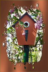 my new birdhouse