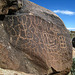 Westfork Trail Petroglyph (5313)