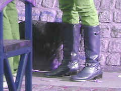 Handlesbanken booted swedish Lady with her dog /  La Dame bottée Handlesbanken avec son petit chien mignon -  Ängelholm / Suède - Sweden.   - 23-10-2008  - Inversion RVB
