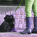 -Handlesbanken booted swedish Lady with her dog /  La Dame bottée Handlesbanken avec son petit chien mignon -  Ängelholm / Suède - Sweden.   - 23-10-2008 Inversion RVB