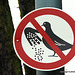 Humour...! il est défendu aux pigeons de se nourrir