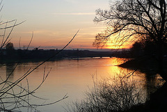 Frühlingsabend über der Elbe bei Pirna