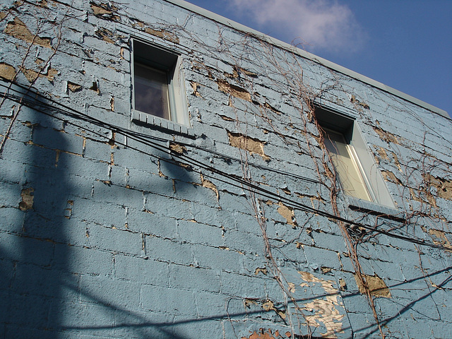 Fenêtres électriques / Electric windows - Dans ma ville / Hometown.  24 mars 2010