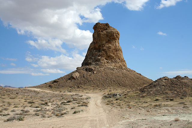 Trona Pinnacles (4309)
