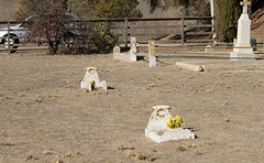 San Lucas cemetery (0968)