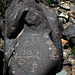 Three Rivers Petroglyphs (5844)