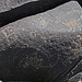 Three Rivers Petroglyphs (5847)