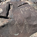 Three Rivers Petroglyphs (5854)