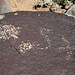 Three Rivers Petroglyphs (5856)
